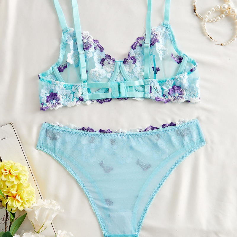 Conjunto de lencería bikini co - Sheer Bra Lace reseña y precio