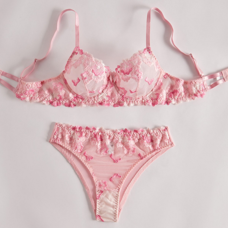 Conjunto de lencería bikini co - Sheer Bra Lace reseña y precio